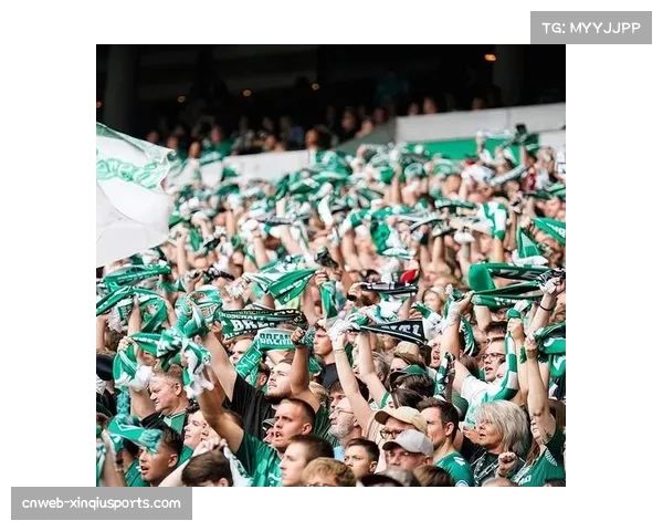 德甲俱乐部数字化改革，提升球迷观赛体验