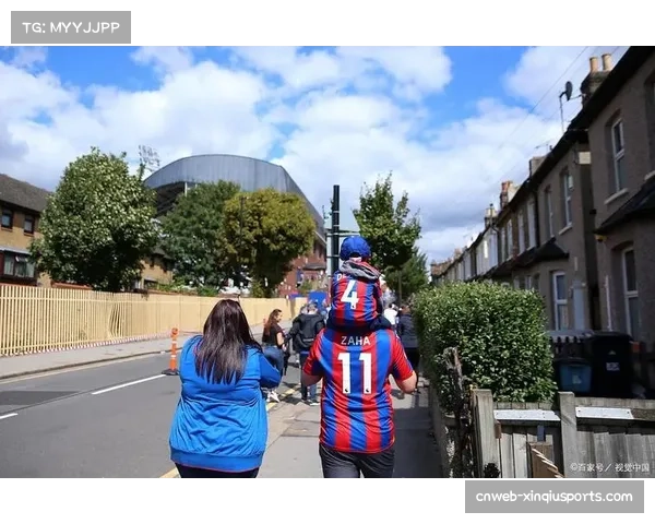 水晶宫1-0小胜南安普顿，取得主场两连胜